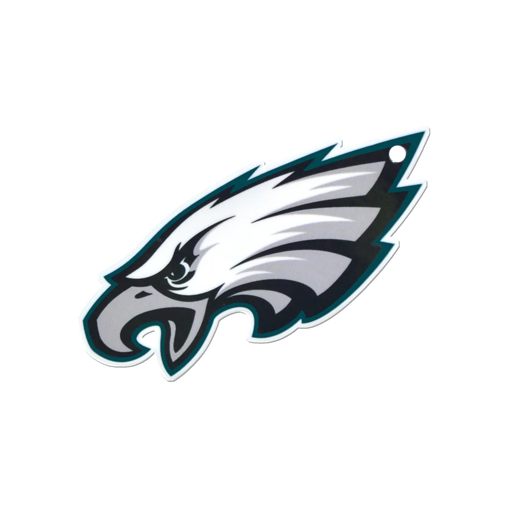 STEEL PHILADELPHIA EAGLES LOGO