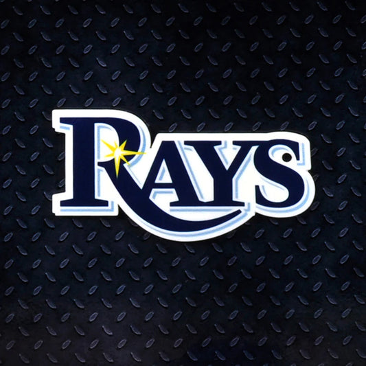 STEEL TAMPA BAY RAYS LOGO