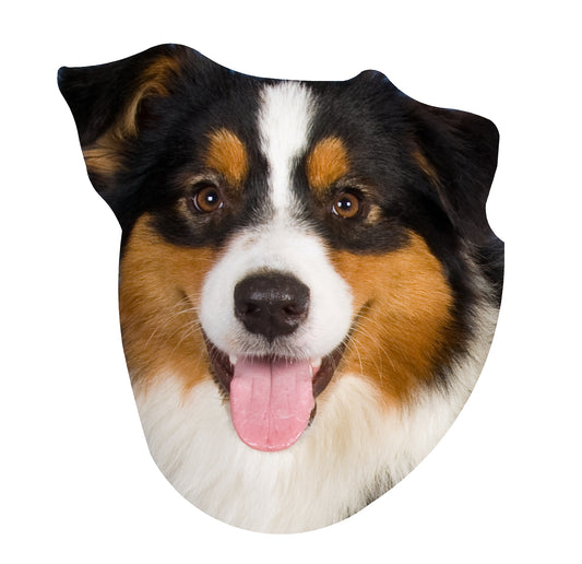 STEEL AUSTRALIAN SHEPHERD MAGNET