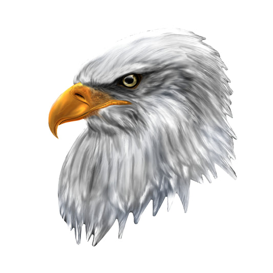 STEEL BALD EAGLE