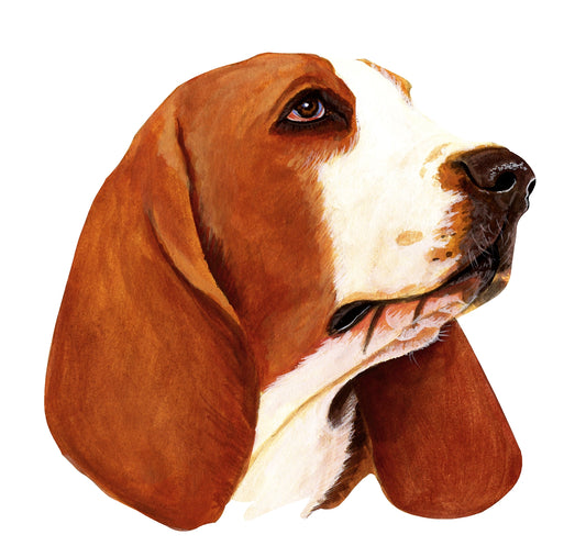 STEEL BASSET HOUND MAGNET