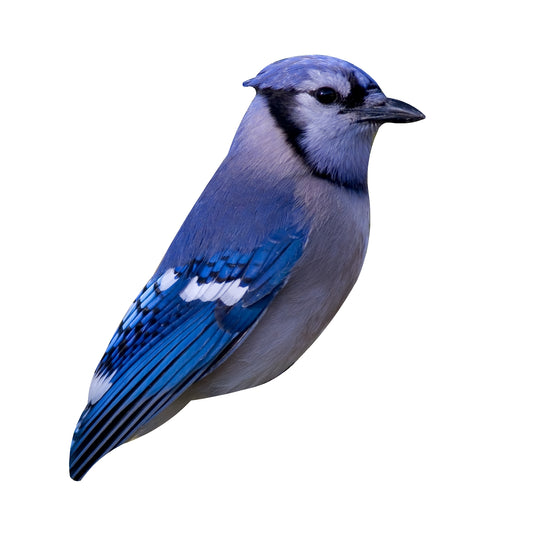 STEEL BLUEBIRD MAGNET