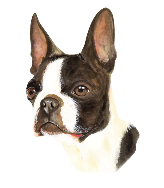 STEEL BOSTON TERRIER MAGNET