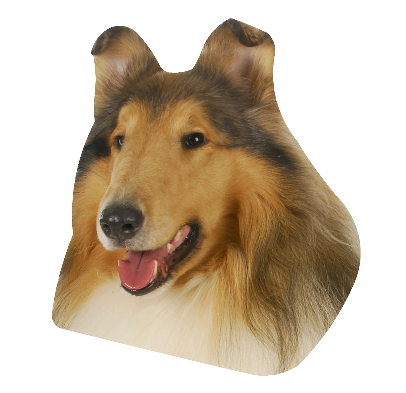 STEEL COLLIE LASSIE MAGNET