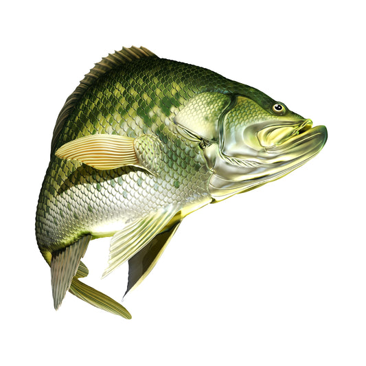 STEEL CRAPPIE MAGNET