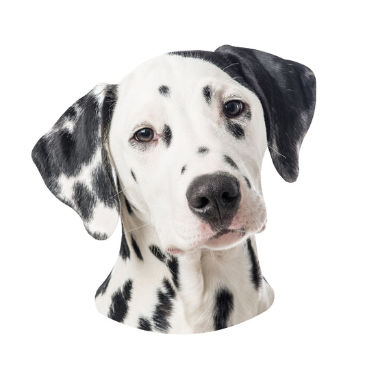 STEEL DALMATIAN MAGNET