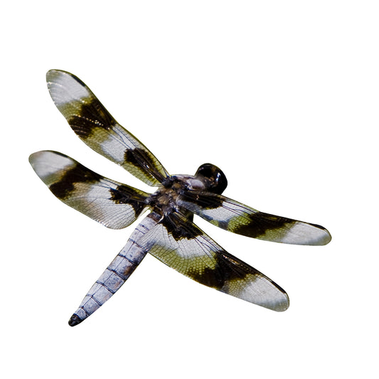 STEEL DRAGONFLY MAGNET