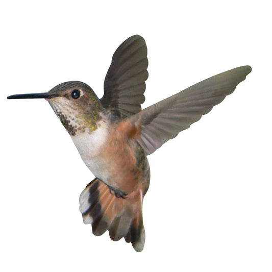 STEEL FEMALE HUMMINGBIRD MAGNET