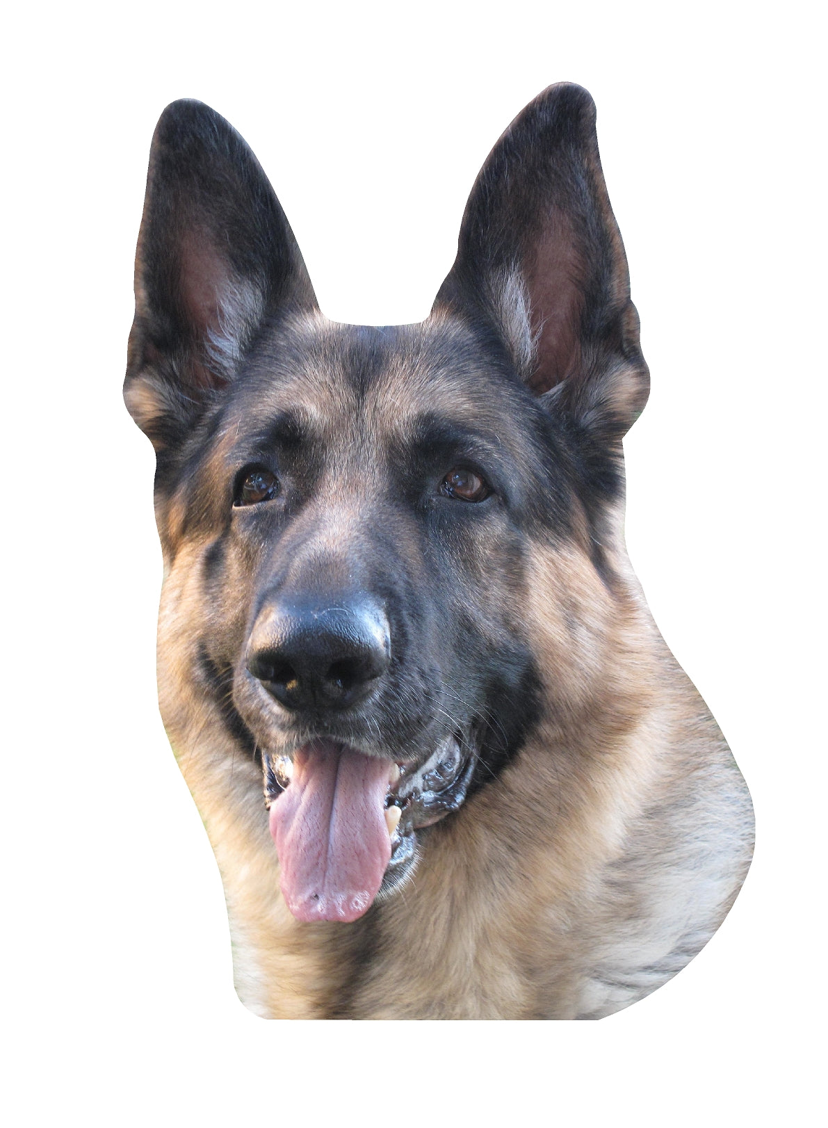 STEEL GERMAN SHEPHERD MAGNET