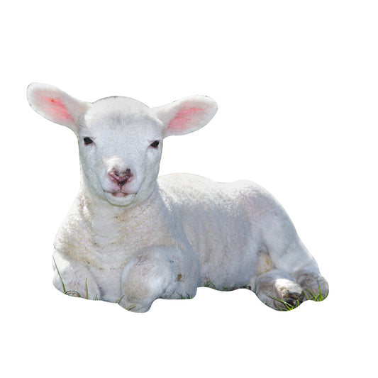 STEEL LAMB MAGNET