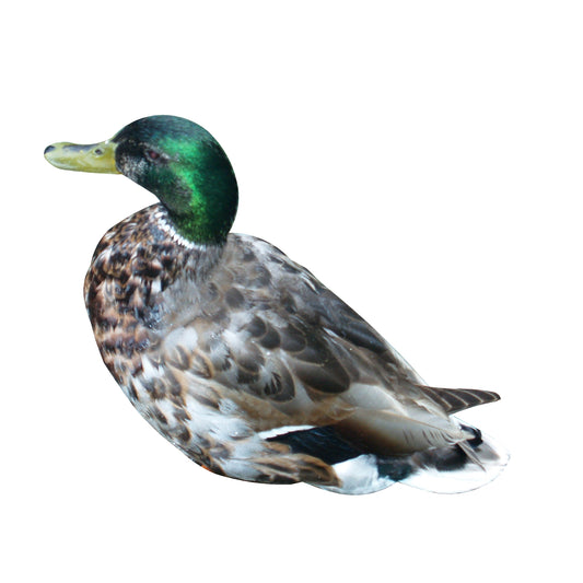 STEEL MALLARD SITTING MAGNET