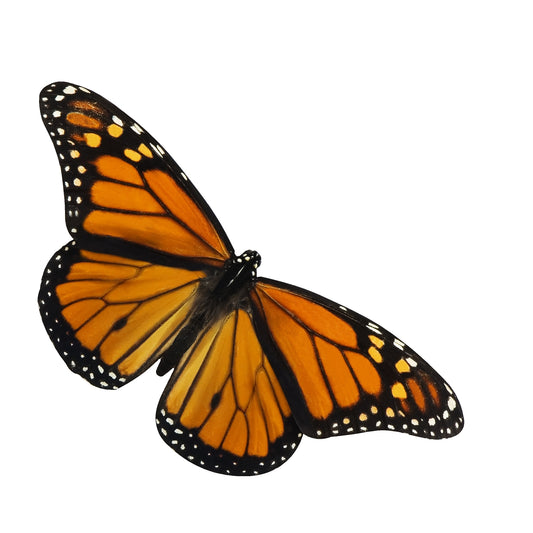 STEEL MONARCH BUTTERFLY MAGNET