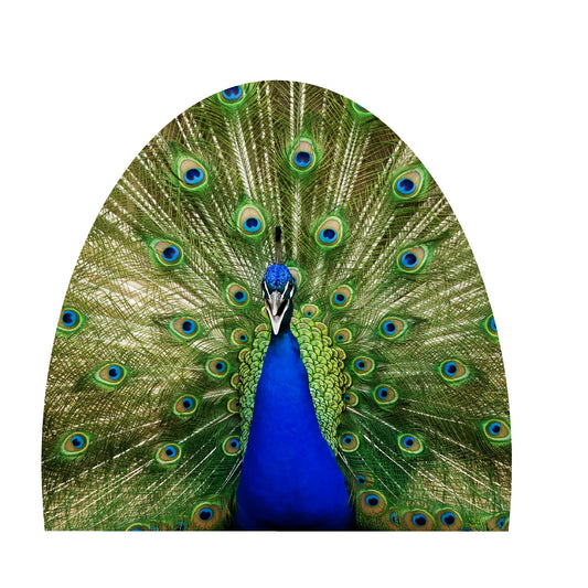 STEEL PEACOCK MAGNET