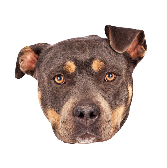 STEEL PIT BULL MAGNET