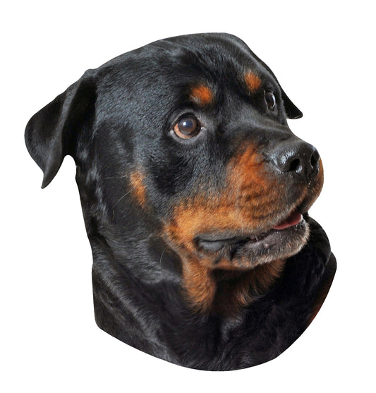 STEEL ROTTWEILER MAGNET