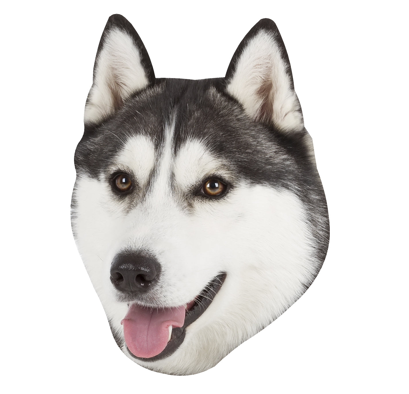 STEEL SIBERIAN HUSKY MAGNET