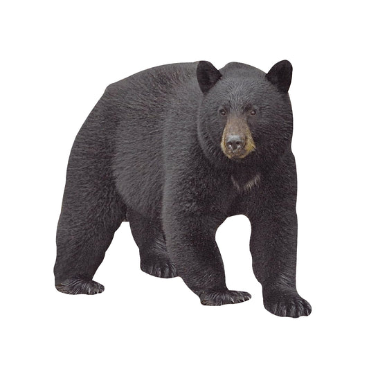 STEEL WALKING BEAR MAGNET