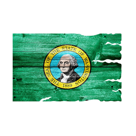 STEEL WASHINGTON FLAG